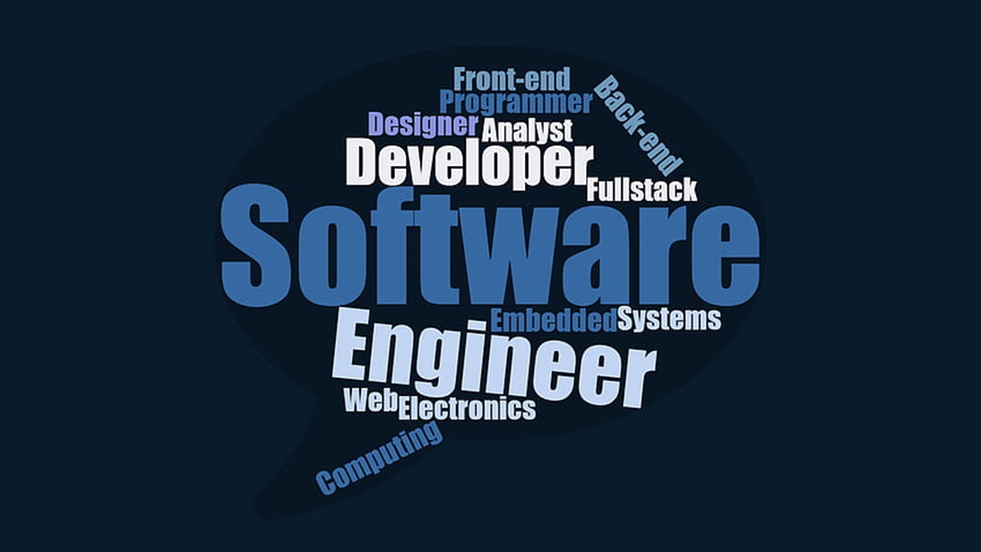 Software Engineer Image